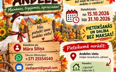 Lielaucē organizējam Mārtiņdienas andeli!